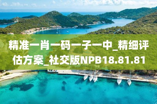 精准一肖一码一子一中_精细评估方案_社交版NPB18.81.81