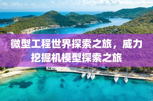 微型工程世界探索之旅，威力挖掘机模型探索之旅