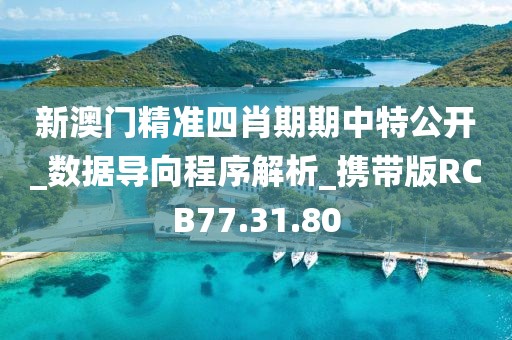 新澳门精准四肖期期中特公开_数据导向程序解析_携带版RCB77.31.80