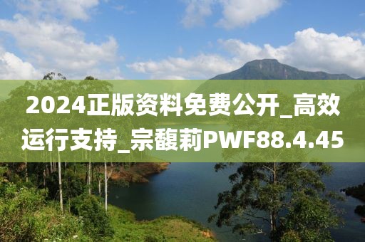 2024正版资料免费公开_高效运行支持_宗馥莉PWF88.4.45