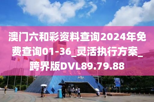 澳门六和彩资料查询2024年免费查询01-36_灵活执行方案_跨界版DVL89.79.88