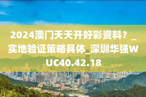 2024澳门天天开好彩资料？_实地验证策略具体_深圳华强WUC40.42.18