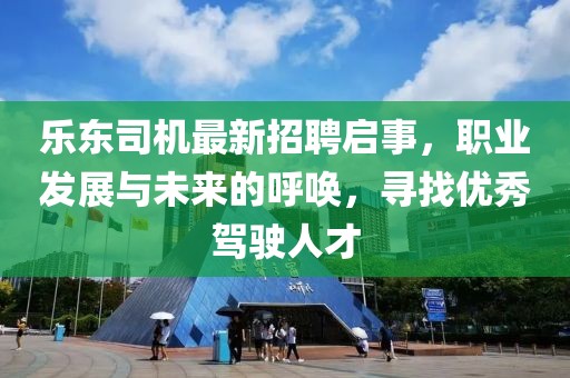 乐东司机最新招聘启事，职业发展与未来的呼唤，寻找优秀驾驶人才