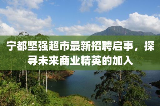 宁都坚强超市最新招聘启事，探寻未来商业精英的加入