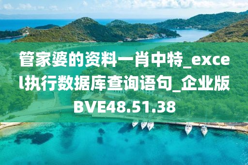 管家婆的资料一肖中特_excel执行数据库查询语句_企业版BVE48.51.38