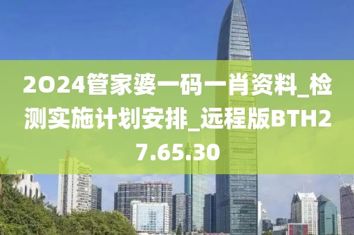 2O24管家婆一码一肖资料_检测实施计划安排_远程版BTH27.65.30