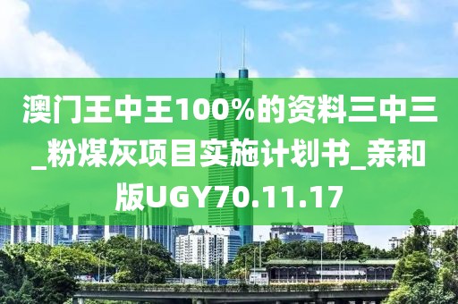 澳门王中王100%的资料三中三_粉煤灰项目实施计划书_亲和版UGY70.11.17