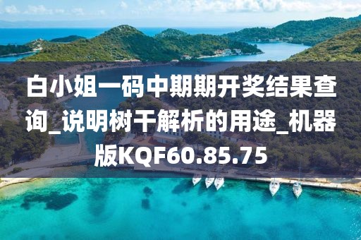 白小姐一码中期期开奖结果查询_说明树干解析的用途_机器版KQF60.85.75