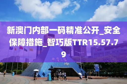 新澳门内部一码精准公开_安全保障措施_智巧版TTR15.57.79