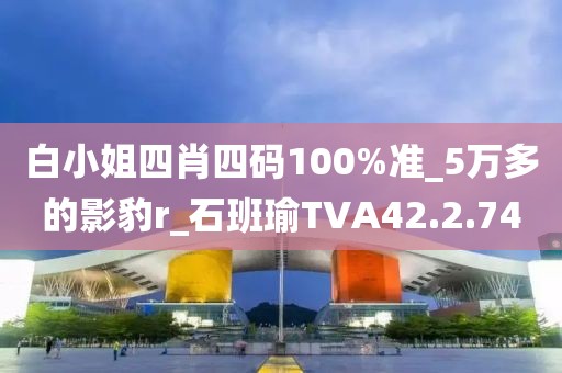 白小姐四肖四码100%准_5万多的影豹r_石班瑜TVA42.2.74