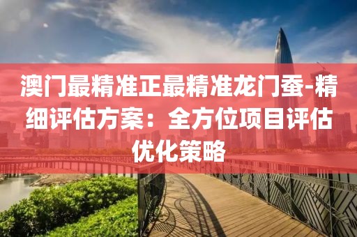 澳门最精准正最精准龙门蚕-精细评估方案：全方位项目评估优化策略