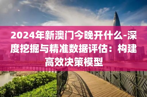 2024年新澳门今晚开什么-深度挖掘与精准数据评估：构建高效决策模型