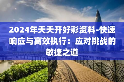 2024年天天开好彩资料-快速响应与高效执行：应对挑战的敏捷之道