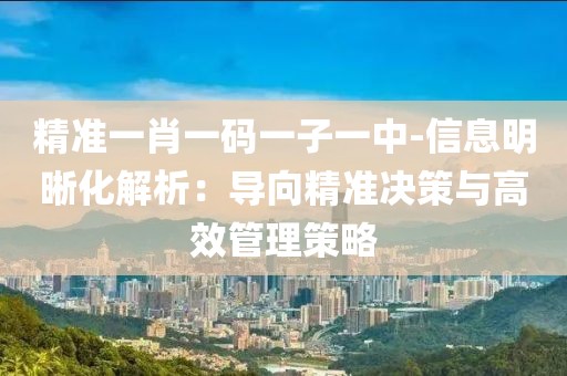 精准一肖一码一子一中-信息明晰化解析：导向精准决策与高效管理策略