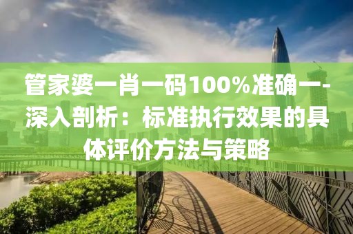 管家婆一肖一码100%准确一-深入剖析：标准执行效果的具体评价方法与策略