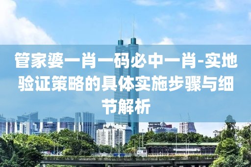 管家婆一肖一码必中一肖-实地验证策略的具体实施步骤与细节解析