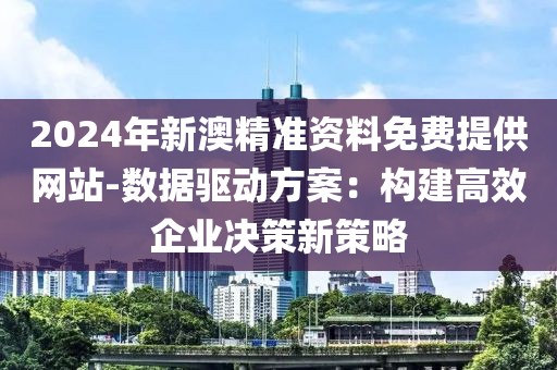 2024年新澳精准资料免费提供网站-数据驱动方案：构建高效企业决策新策略