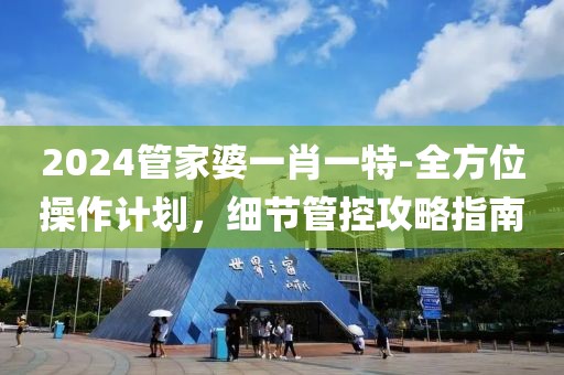 2024管家婆一肖一特-全方位操作计划，细节管控攻略指南