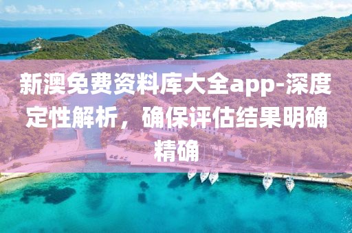 新澳免费资料库大全app-深度定性解析，确保评估结果明确精确