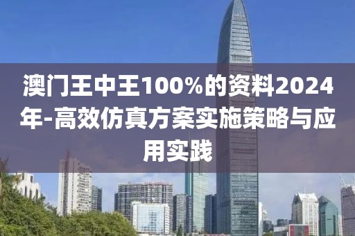 澳门王中王100%的资料2024年-高效仿真方案实施策略与应用实践