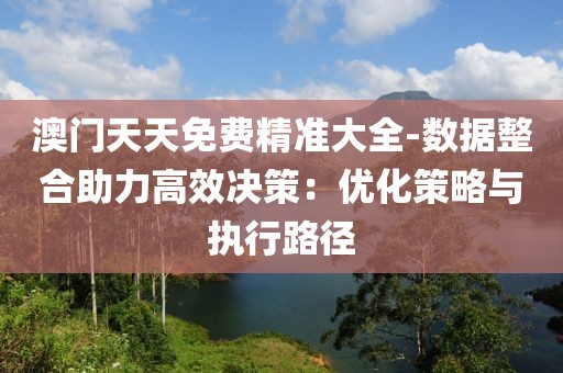 澳门天天免费精准大全-数据整合助力高效决策：优化策略与执行路径