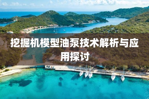 挖掘机模型油泵技术解析与应用探讨