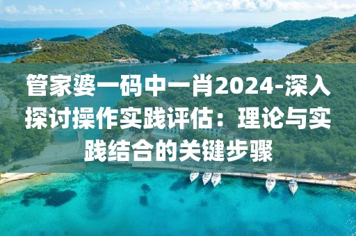 管家婆一码中一肖2024-深入探讨操作实践评估：理论与实践结合的关键步骤