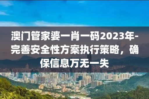 澳门管家婆一肖一码2023年-完善安全性方案执行策略，确保信息万无一失