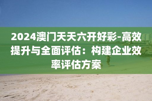 2024澳门天天六开好彩-高效提升与全面评估：构建企业效率评估方案