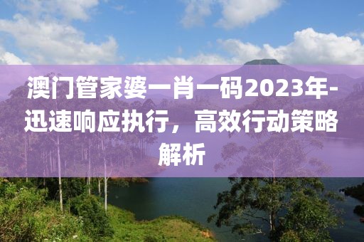 澳门管家婆一肖一码2023年-迅速响应执行，高效行动策略解析