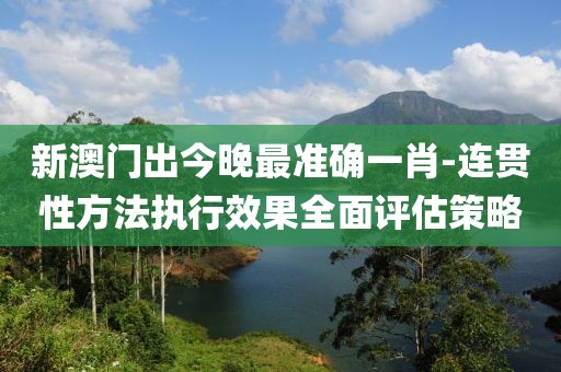 新澳门出今晚最准确一肖-连贯性方法执行效果全面评估策略