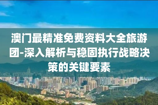 澳门最精准免费资料大全旅游团-深入解析与稳固执行战略决策的关键要素