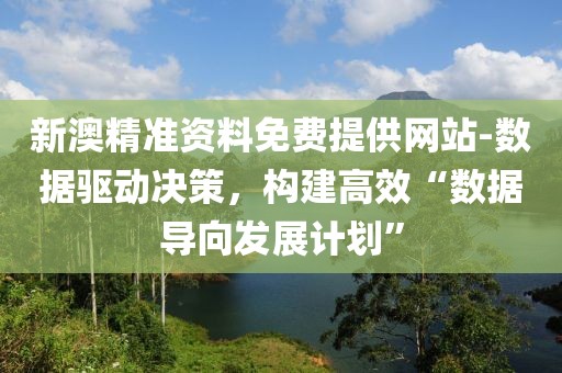 新澳精准资料免费提供网站-数据驱动决策，构建高效“数据导向发展计划”