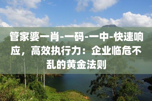 管家婆一肖-一码-一中-快速响应，高效执行力：企业临危不乱的黄金法则