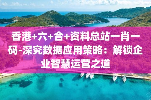 香港+六+合+资料总站一肖一码-深究数据应用策略：解锁企业智慧运营之道