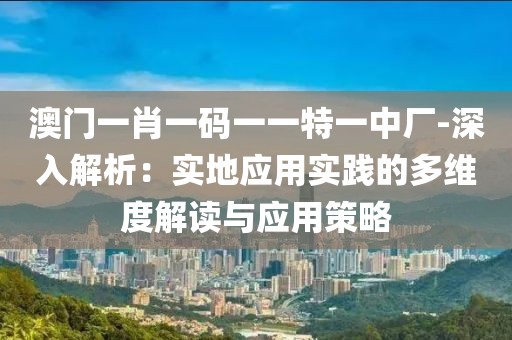 澳门一肖一码一一特一中厂-深入解析：实地应用实践的多维度解读与应用策略