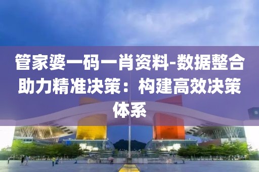 管家婆一码一肖资料-数据整合助力精准决策：构建高效决策体系