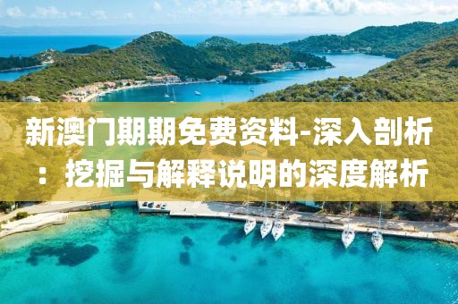 新澳门期期免费资料-深入剖析：挖掘与解释说明的深度解析