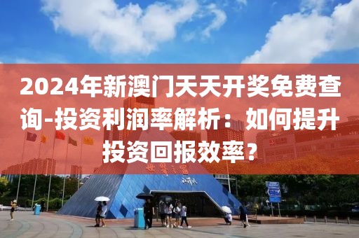 2024年新澳门天天开奖免费查询-投资利润率解析：如何提升投资回报效率？