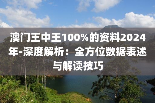 澳门王中王100%的资料2024年-深度解析：全方位数据表述与解读技巧