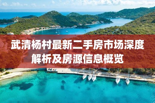 武清杨村最新二手房市场深度解析及房源信息概览