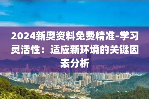 2024新奥资料免费精准-学习灵活性：适应新环境的关键因素分析