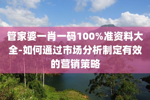 管家婆一肖一码100%准资料大全-如何通过市场分析制定有效的营销策略