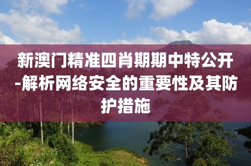 新澳门精准四肖期期中特公开-解析网络安全的重要性及其防护措施