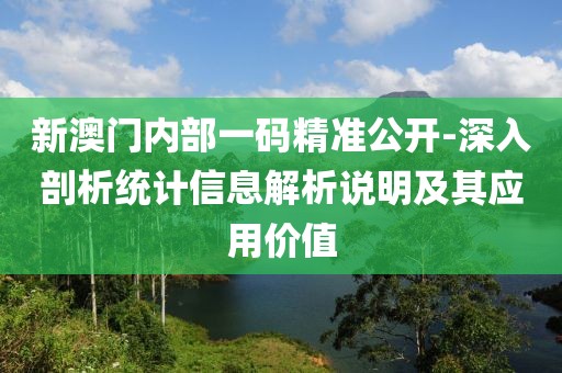 新澳门内部一码精准公开-深入剖析统计信息解析说明及其应用价值