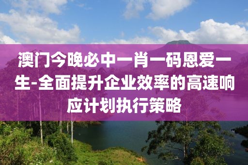 澳门今晚必中一肖一码恩爱一生-全面提升企业效率的高速响应计划执行策略