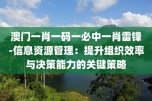 澳门一肖一码一必中一肖雷锋-信息资源管理：提升组织效率与决策能力的关键策略