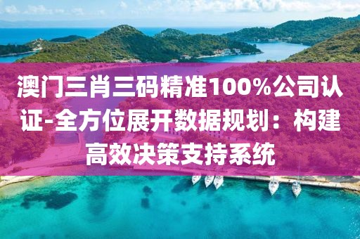 澳门三肖三码精准100%公司认证-全方位展开数据规划：构建高效决策支持系统