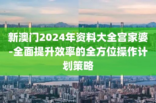 新澳门2024年资料大全宫家婆-全面提升效率的全方位操作计划策略