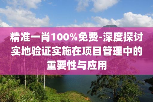 精准一肖100%免费-深度探讨实地验证实施在项目管理中的重要性与应用